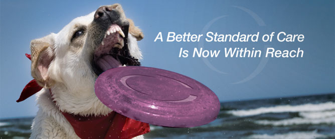 Sniffing Out a Big Idea